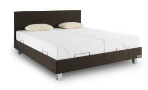 TEMPUR Classic Bruin L