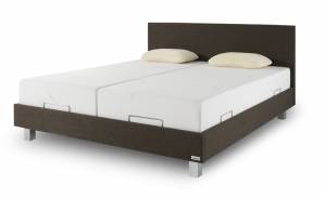 TEMPUR Classic Bruin R